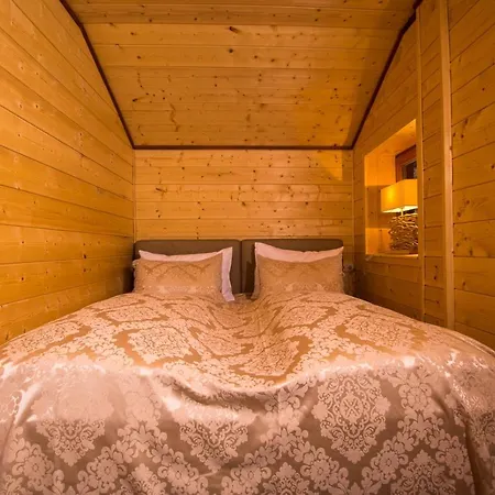 Chalet Obertraun 度假居
